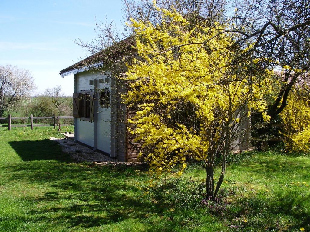Bed and Breakfast Le Trot'In Chair Martigny-le-Comte Номер фото